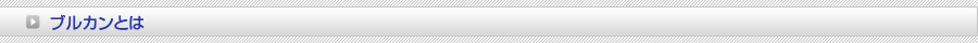 ブルカンとは